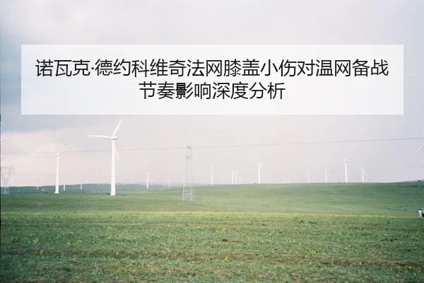 nuo-wa-ke-de-yue-ke-wei-qi-fa-wang-xi-gai-xiao-shang-dui-wen-wang-bei-zhan-jie-zou-ying-xiang-shen-du-fen-xi-2-399.jpg