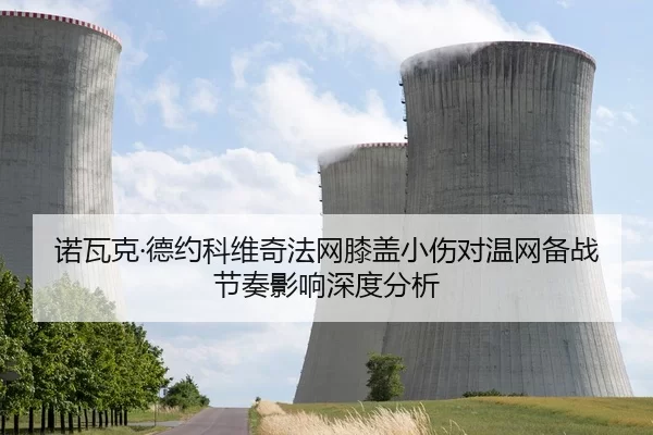 诺瓦克·德约科维奇法网膝盖小伤对温网备战节奏影响深度分析