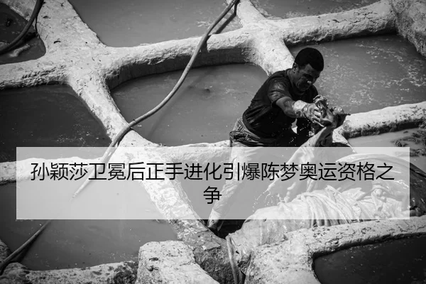 孙颖莎卫冕后正手进化引爆陈梦奥运资格之争